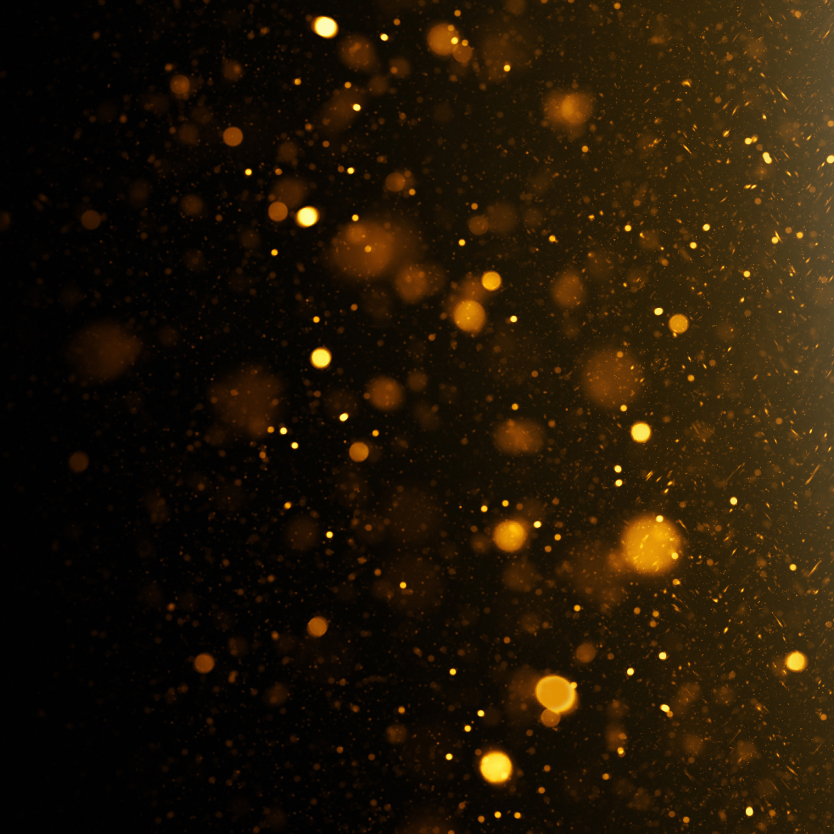 Margaret Brent Sponsorship