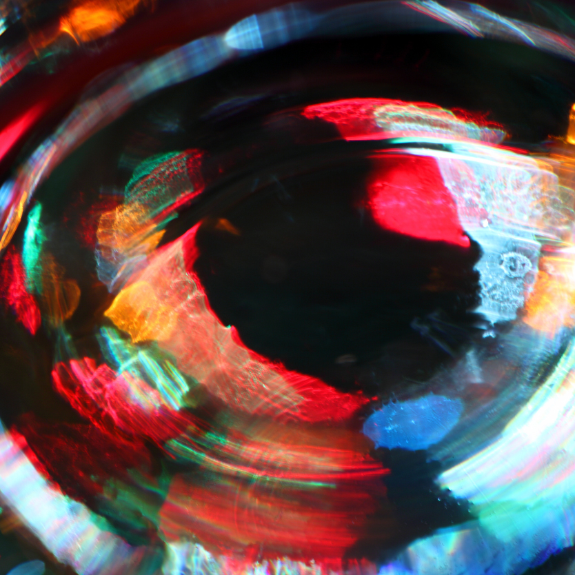 Mobilization for Justice Sponsorship